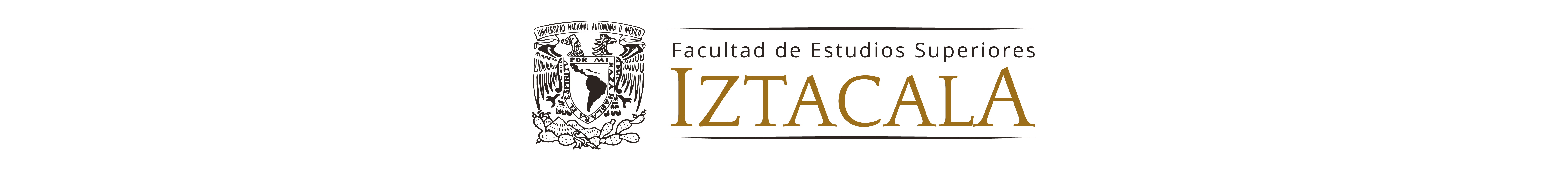 Nuevo Ingreso FESI