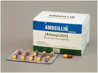 amoxicilina