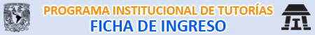 Programa institucional de tutorías, Ficha de ingreso