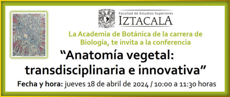 La Academia de Botánica te invita a la CONFERENCIA -Anatomía Vegetal: transdisciplinaria e innovativa- 18 de abril, 10:00 h 