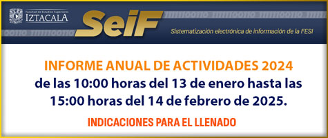 Indicaciones para el llenado del INFORME ANUAL DE ACTIVIDADES 2024.