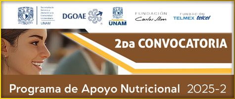 Segunda Convocatoria, Programa de Apoyo Nutricional (PANI) 2025-2.