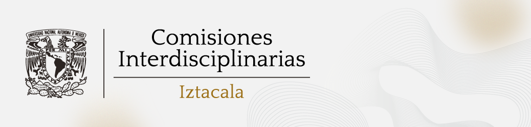 Comisiones Interdisciplinarias