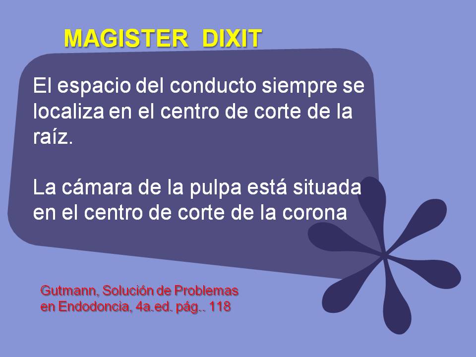 MAGISTER DIXIT