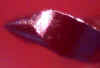 flex r 35.jpg (20075 bytes)