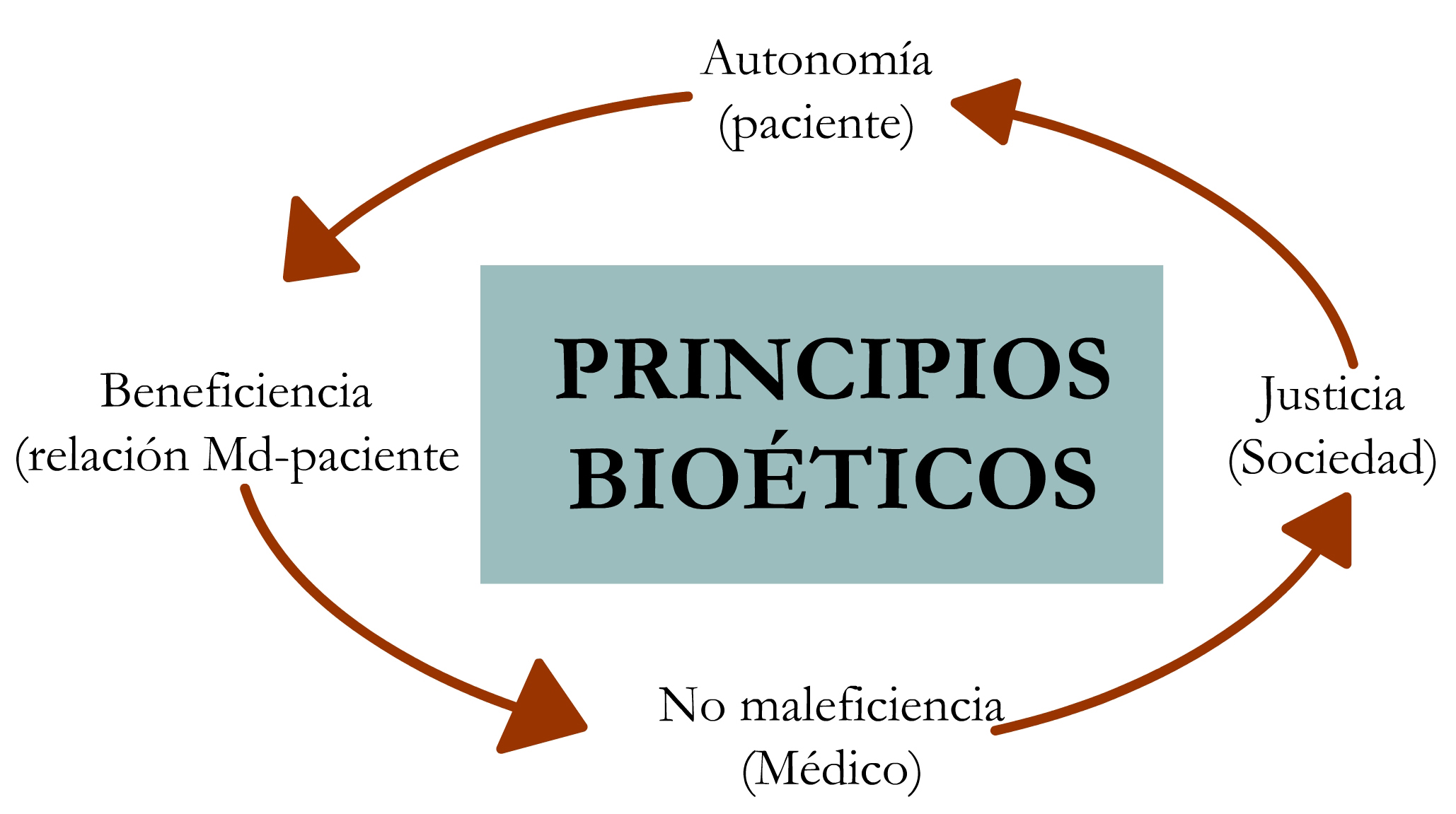 Principios de bioética